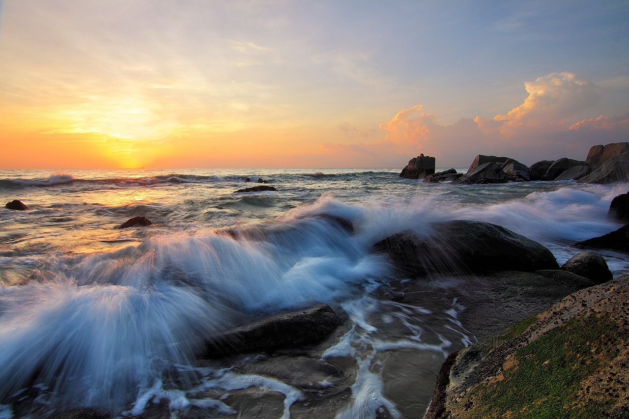 The Effect of Single-Use Plastics on Oceanic Life